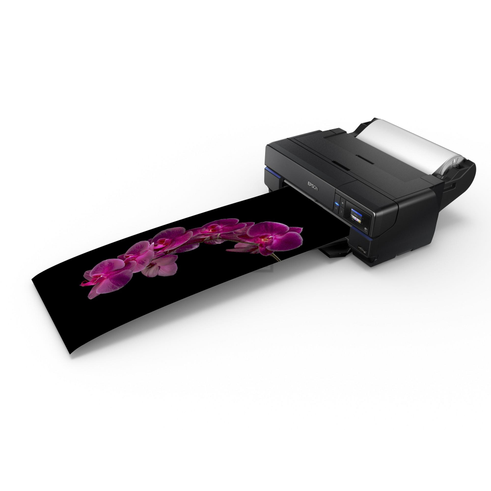 Test Epson Surecolor SC-P 800 (C11CE22301BR)