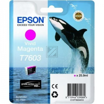 Original Epson C13T76034N10 / T7603 Tinte magenta Epson Tintenpatrone magenta (C13T76034N10, T7603)