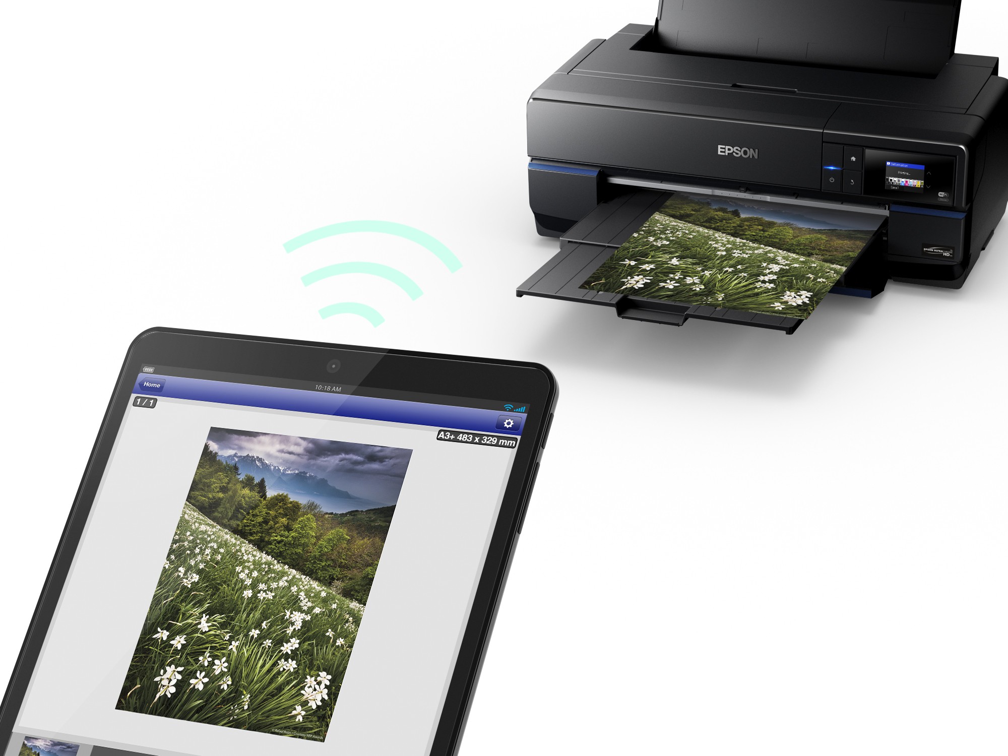 Epson SureColor SC-P800 Roll Unit Promo
