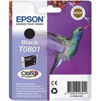 Epson Tintenpatrone schwarz (C13T08014010, T0801)
