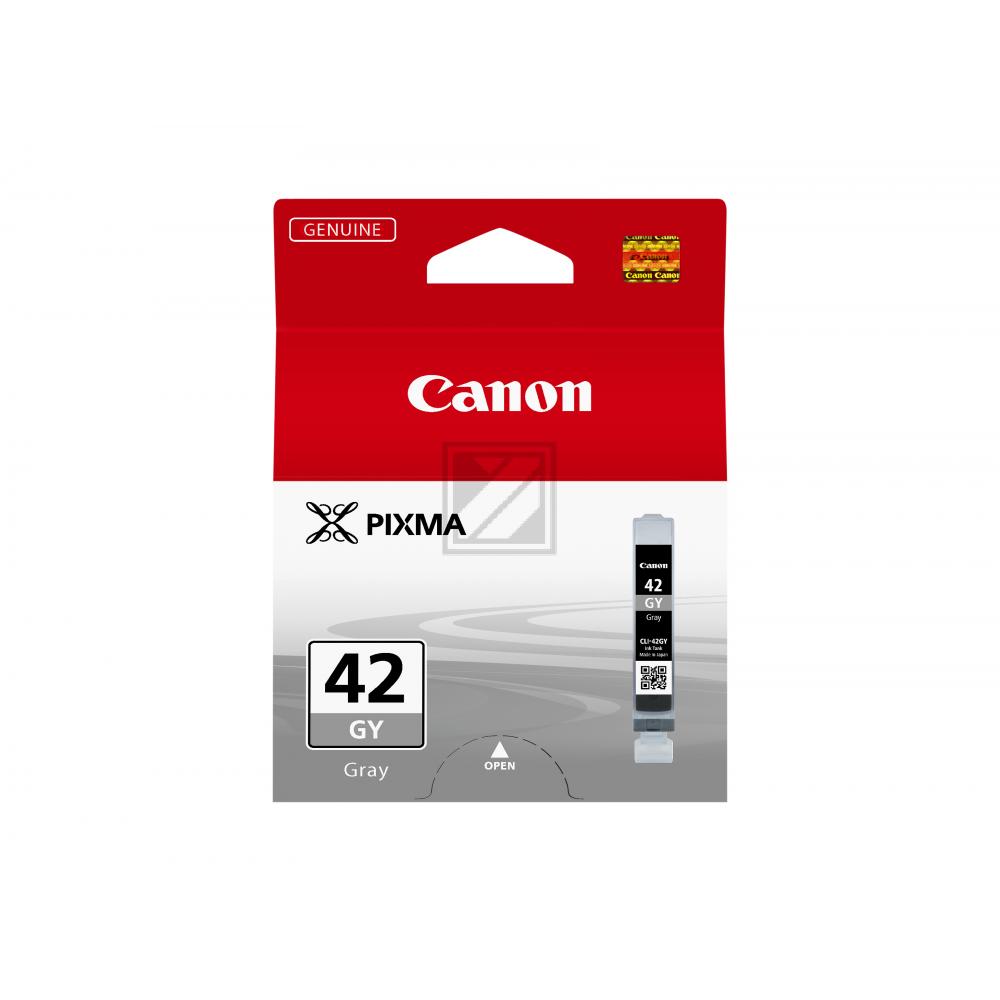 Test Canon Tintenpatrone grau (6390B001, CLI-42GY)