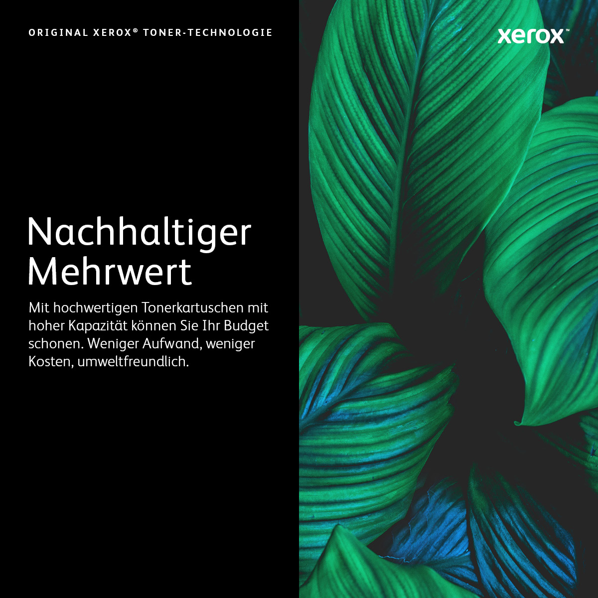 Original Xerox 006R01552 Toner schwarz